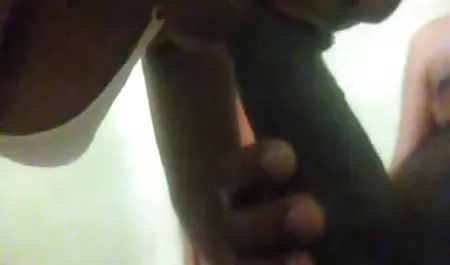 Riley privatpornofilme Reid unterhält seinen Sponsor