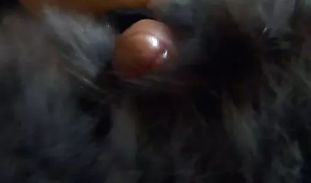 Zwei weiße Kerle ficken ein Schokoladenmädchen geile private sexfilme