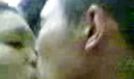 Tigerr Benson Striptease private fickfilme Fortsetzung