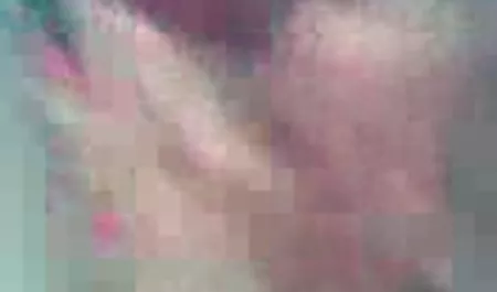 Der Typ fand zwei Hündinnen auf einem deutsche pornofilme privat Trampolin