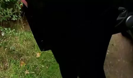Nickey Huntsman lässt privat gedrehte sexfilme sich von ihrem Freund in den Arsch ficken