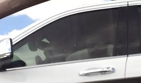 Eine Gruppe von Schwarzen kostenlose private pornoclips riss eine weiße Hündin ab