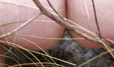 Amateuraufnahmen sexfilme hausfrauen von einem Dreier mit Irina Belova